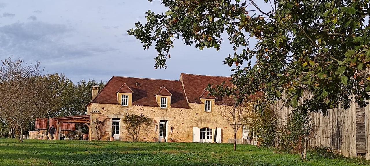 Britavit Saint-Avit-Sénieur Exterior foto